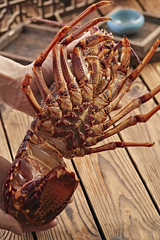 木板上的澳洲大龙虾图片