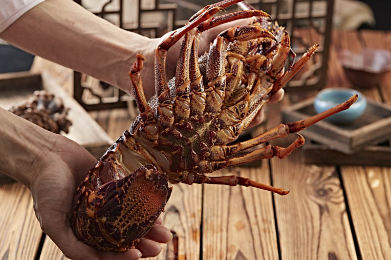 木板上的澳洲大龙虾图片