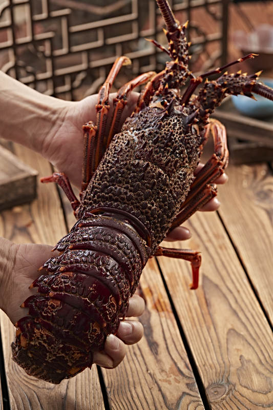 木板上的澳洲大龙虾图片