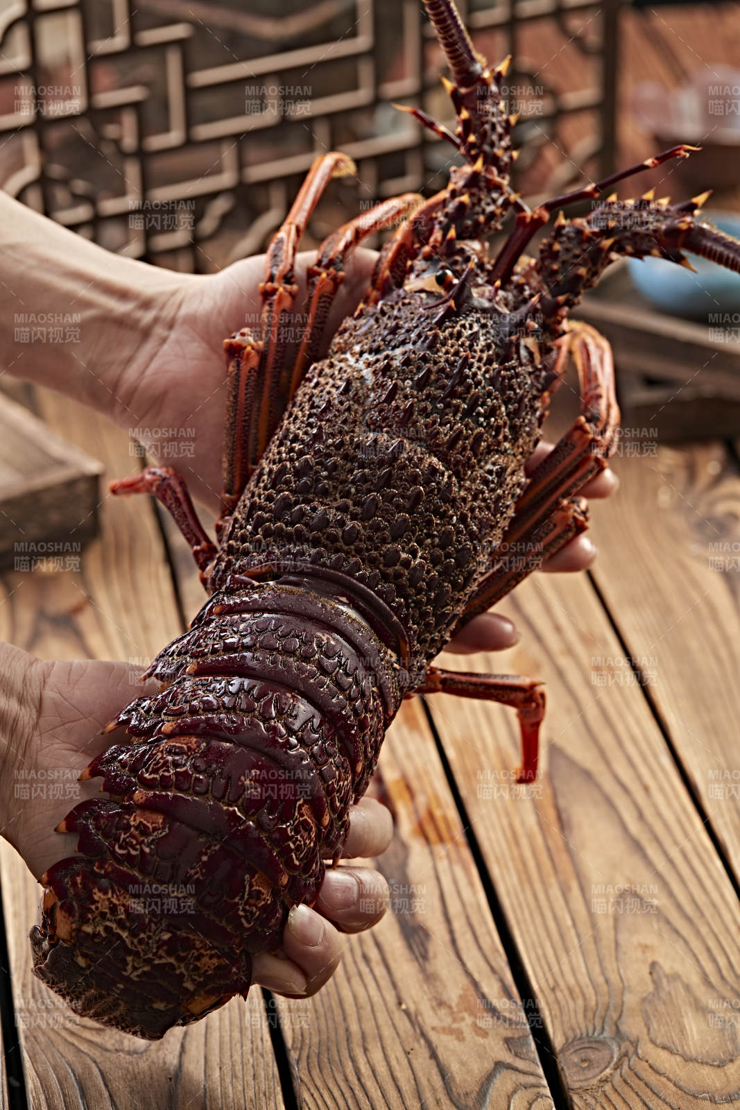木板上的澳洲大龙虾图片