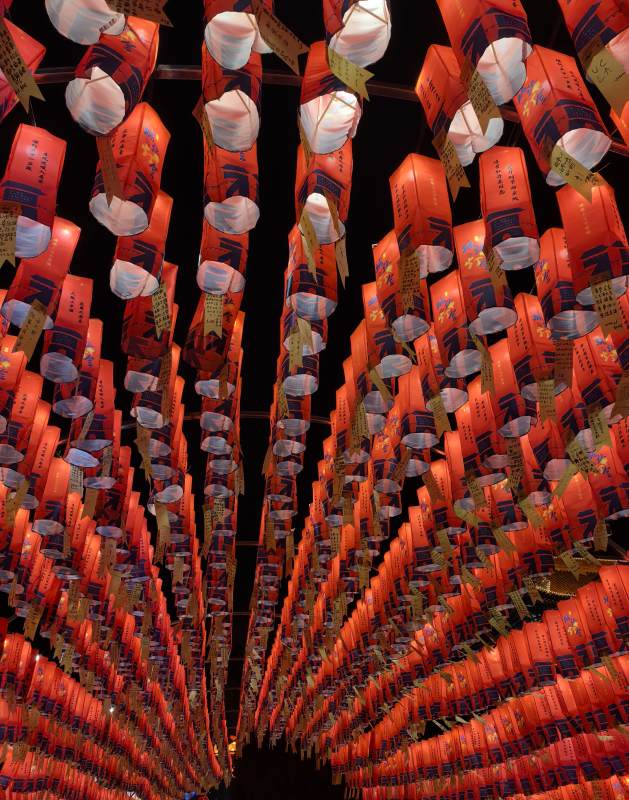 大红灯笼高高挂图片