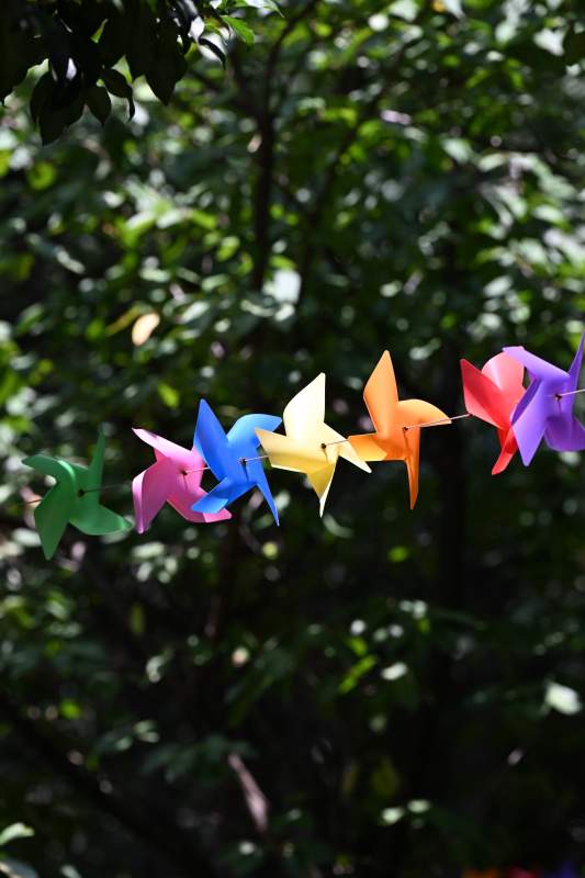 彩色风车随风舞图片