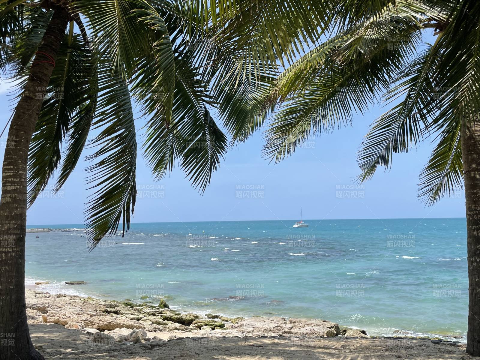 椰林碧海风光图片