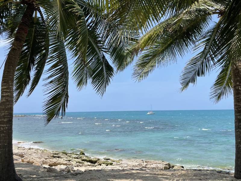 椰林碧海风光图片