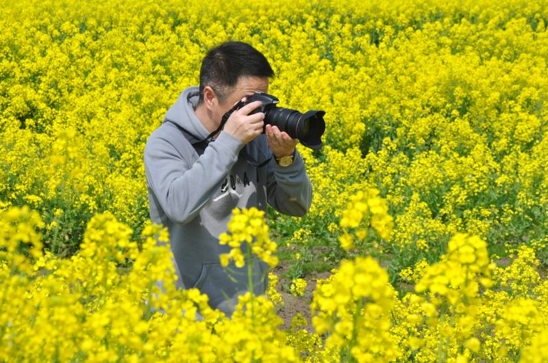 花海中摄影图片