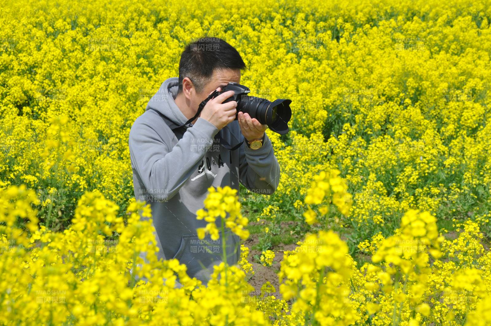 花海中摄影图片