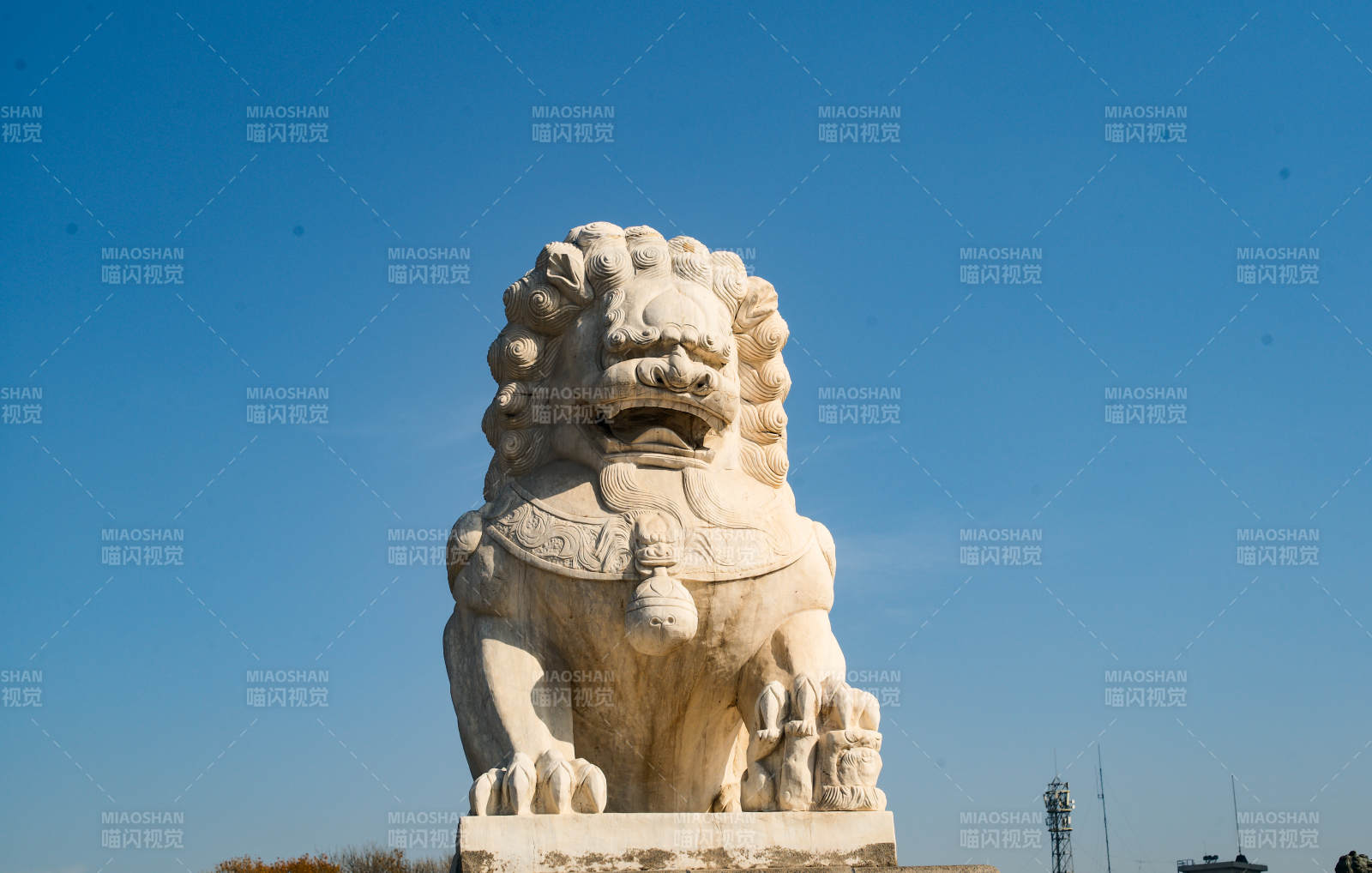 天津狮子林桥—石狮守望蓝天图片