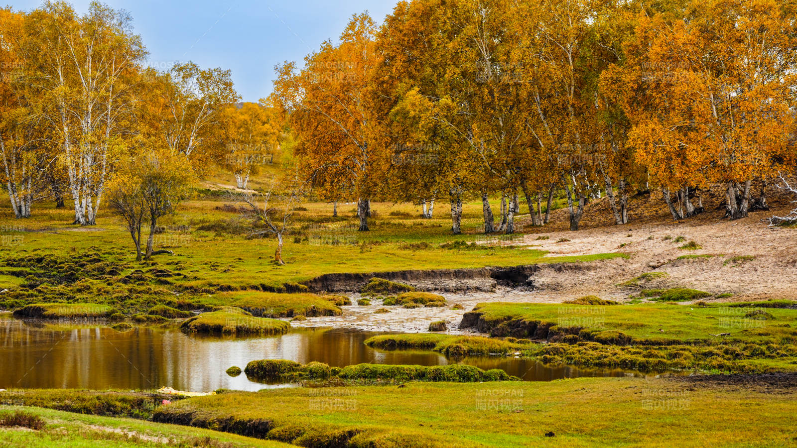 乌兰布统秋林溪畔风光图片