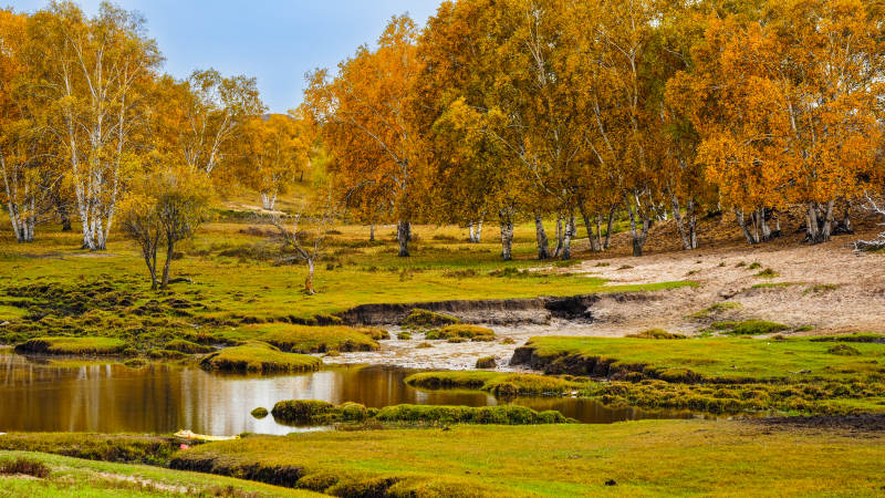 乌兰布统秋林溪畔风光图片
