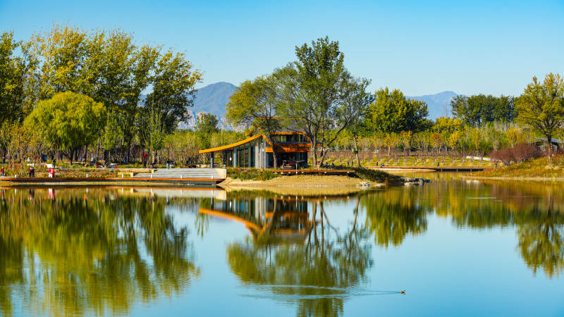 北京玉河湿地公园湖畔秋景如画图片