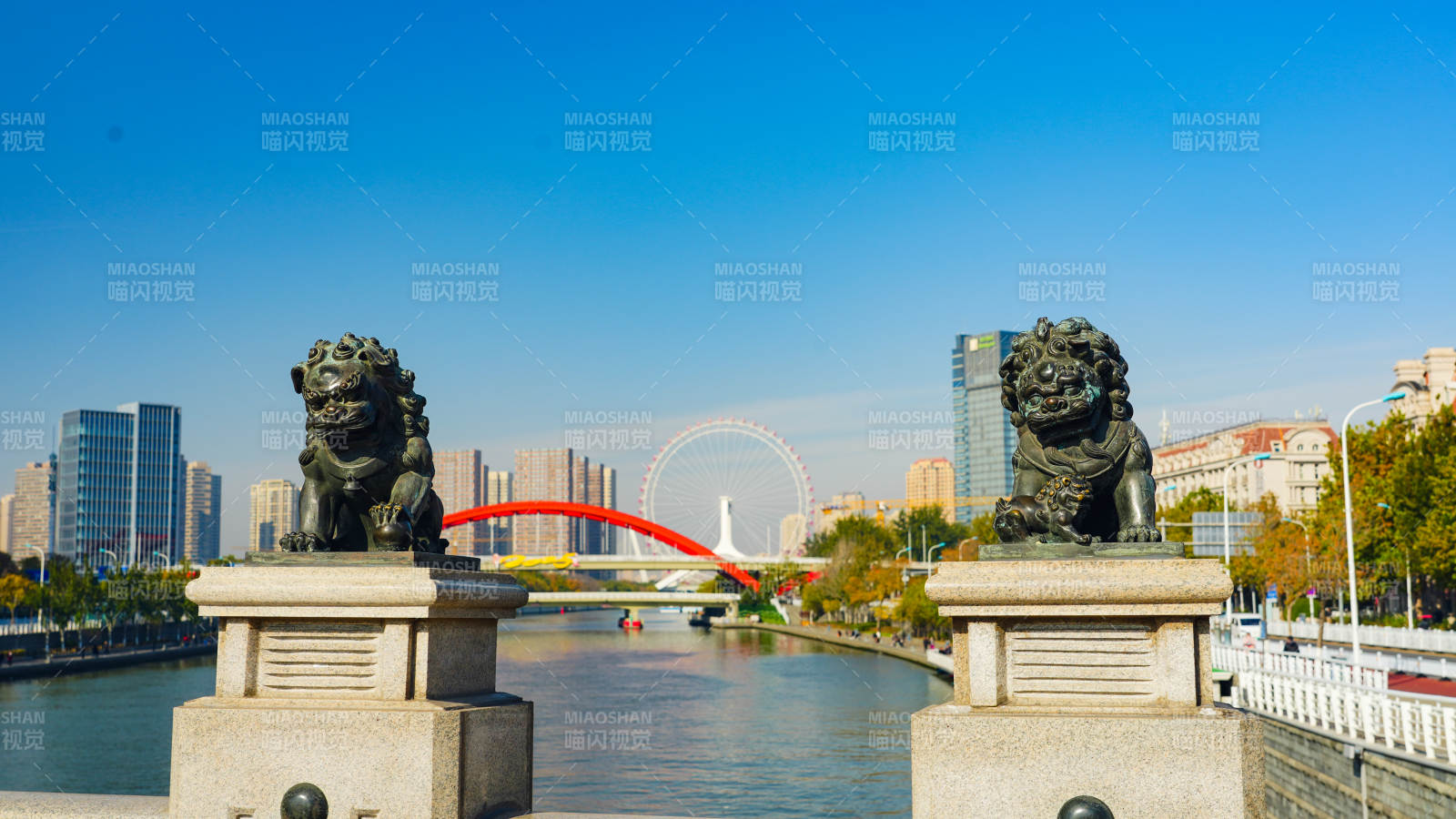 天津狮子林桥铜狮图片