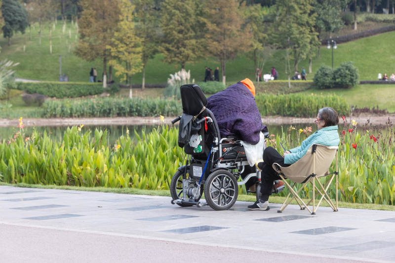 公园里温馨的陪伴图片