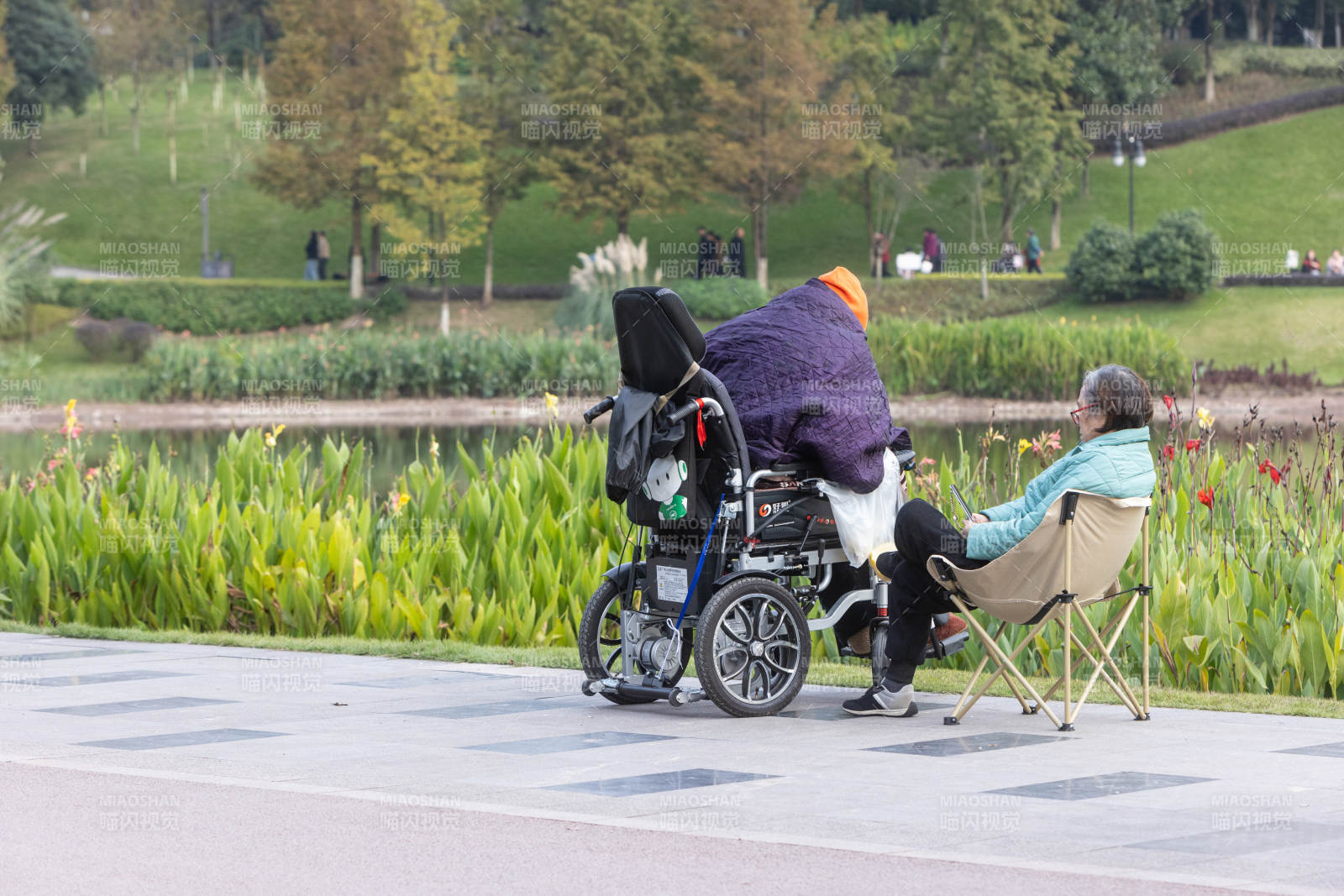 公园里温馨的陪伴图片