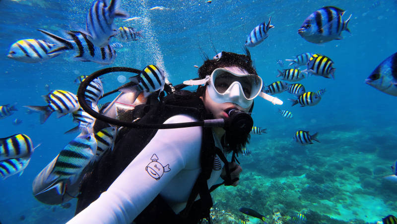 海底潜水遇鱼群图片