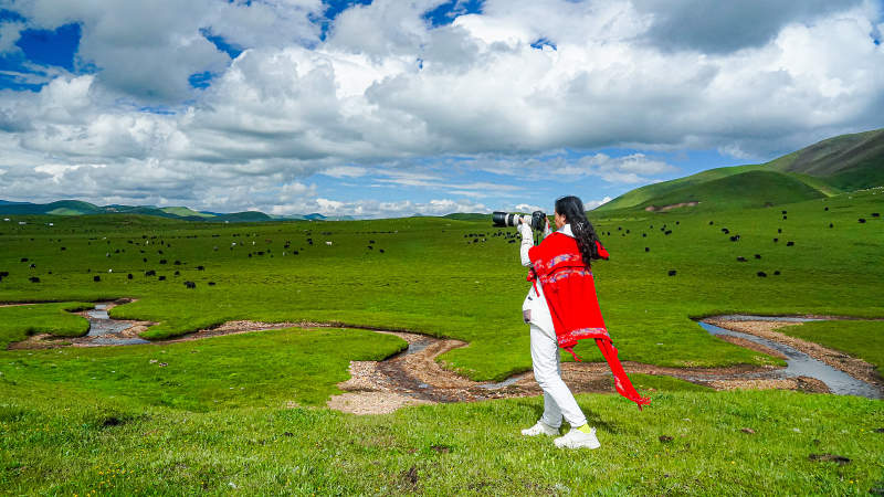 草原上的红色身影图片
