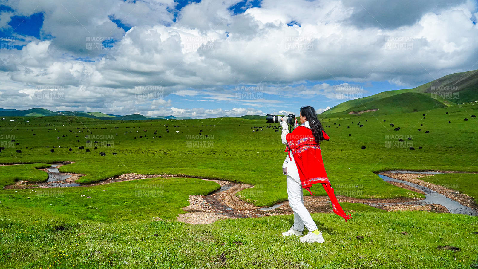 草原上的红色身影图片