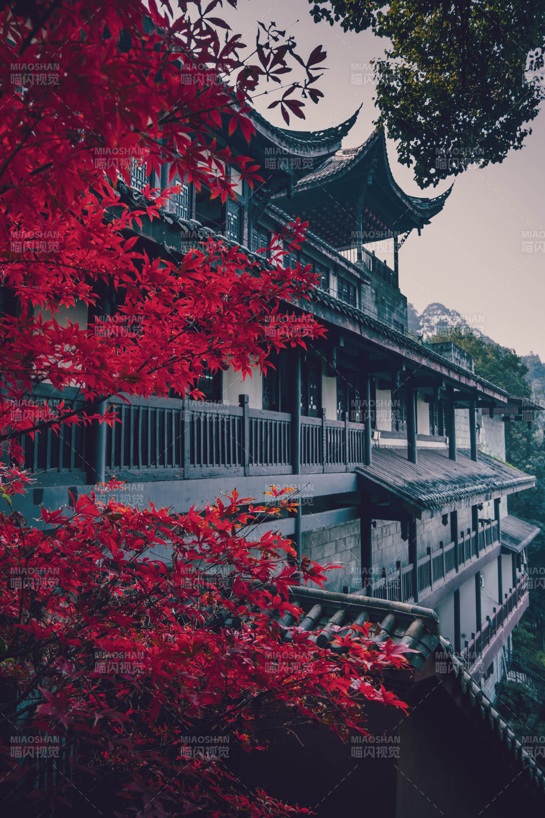 重庆南山老君洞风光图片