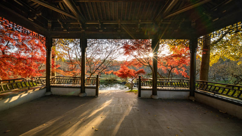 秋日亭中红枫叶景图片