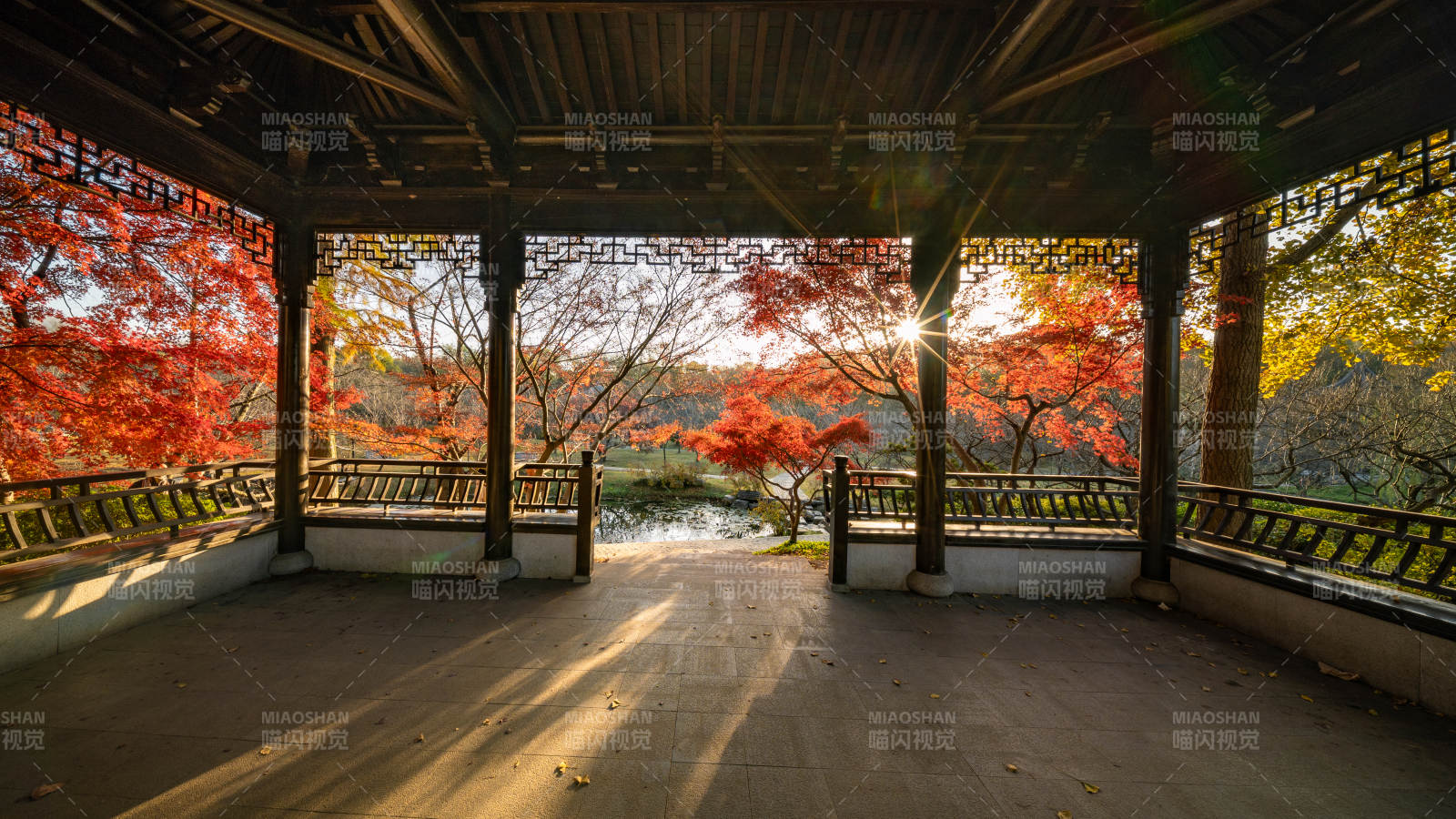 秋日亭中红枫叶景图片