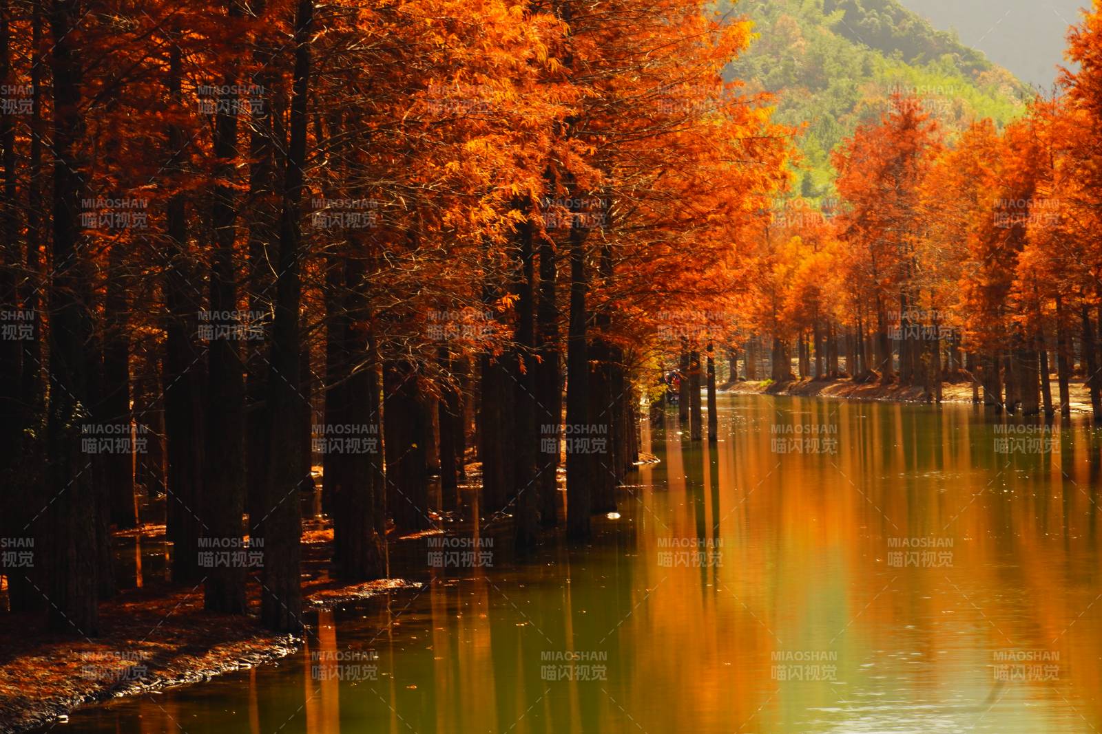 秋林倒影湖光位于皖南川藏线宁国市图片