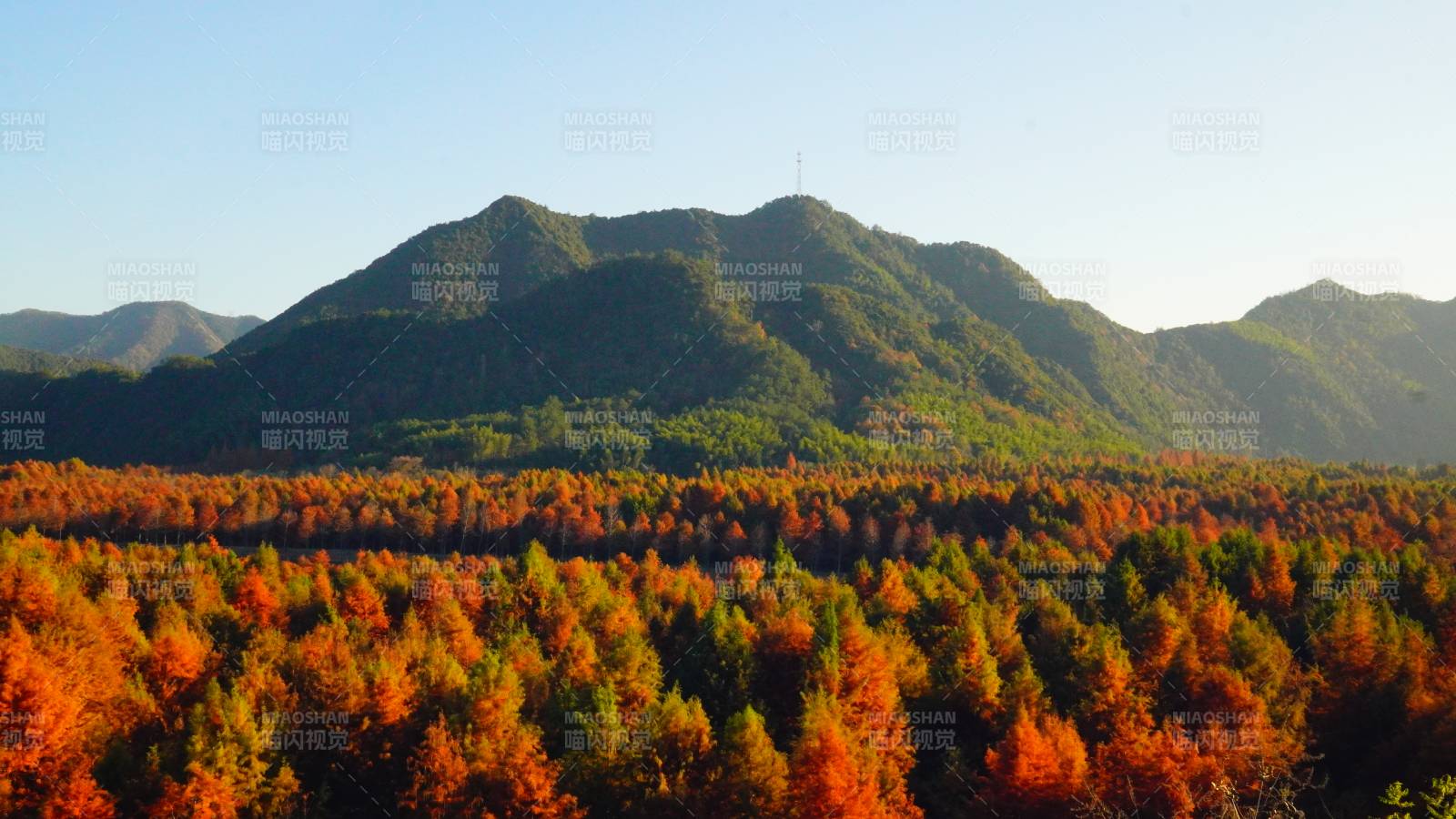 秋山红叶美景位于宣城宁国市图片