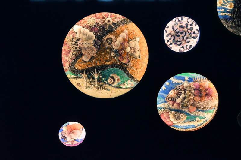 海洋馆彩绘圆盘图片