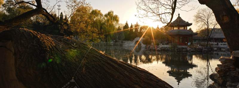 古莲花池夕阳映亭影图片