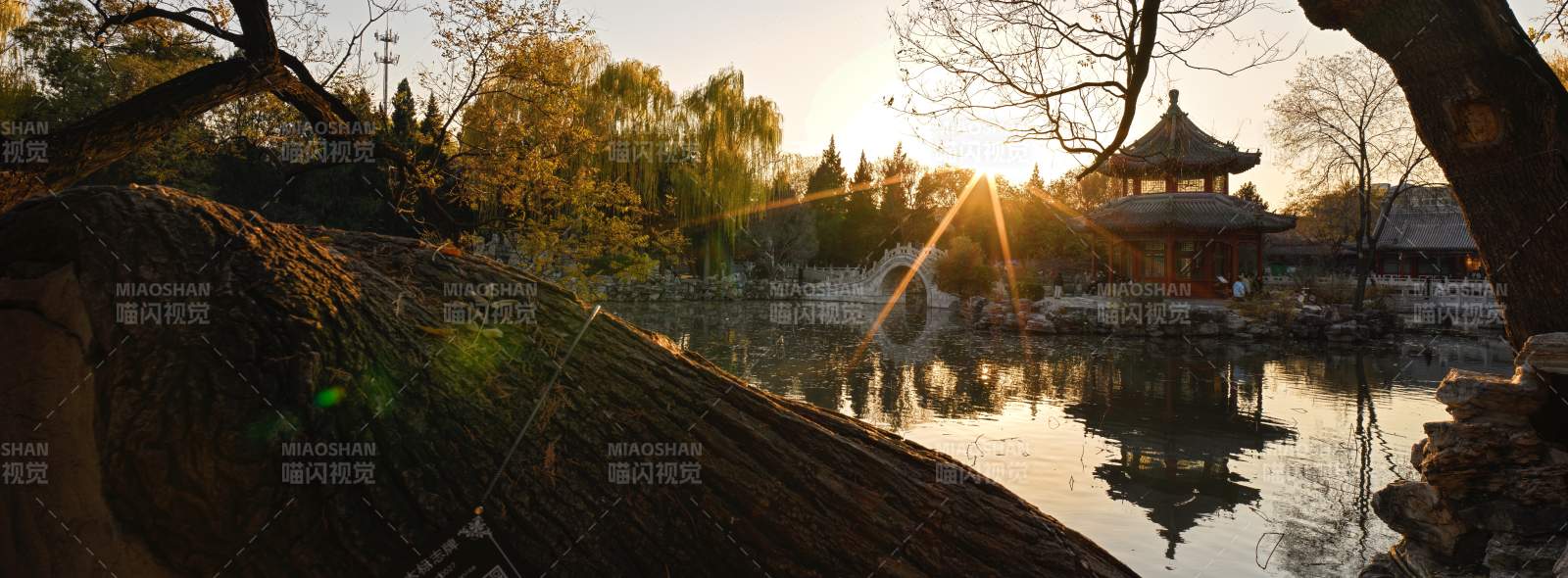 古莲花池夕阳映亭影图片