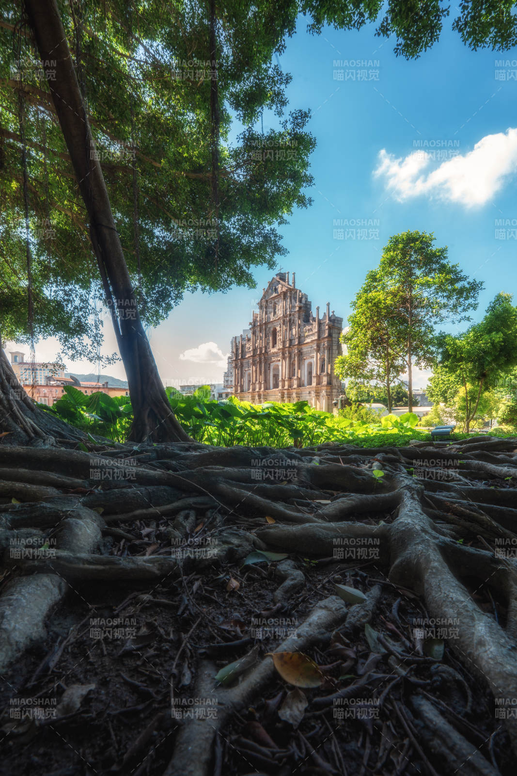 大三巴牌坊树影图片