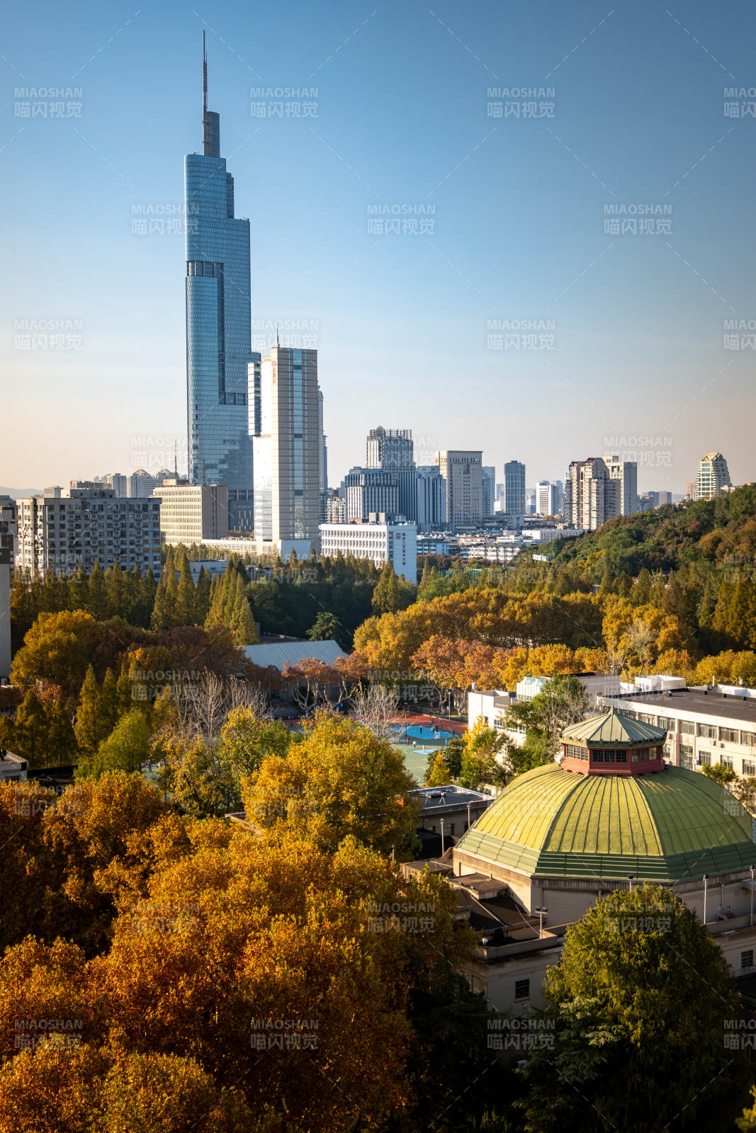 秋城高楼映金林图片