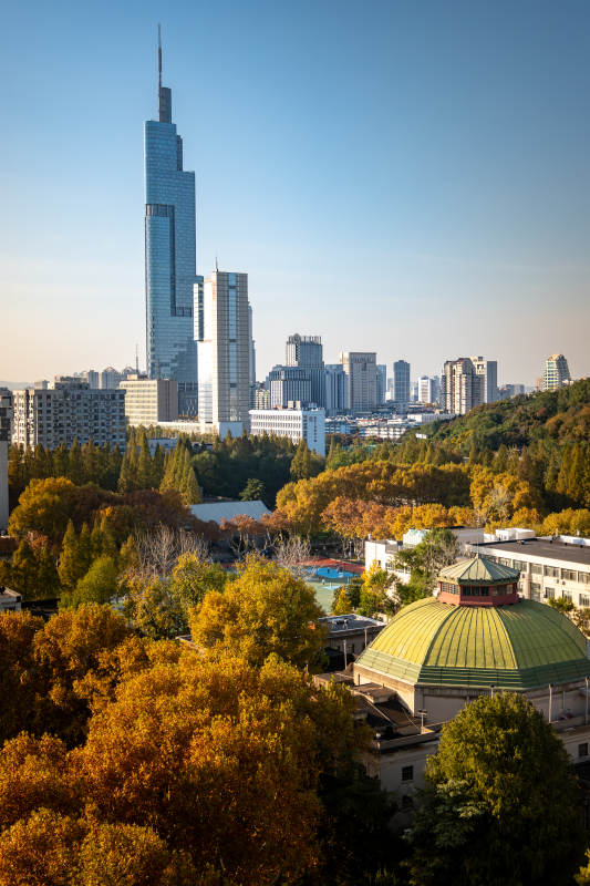 秋城高楼映金林图片