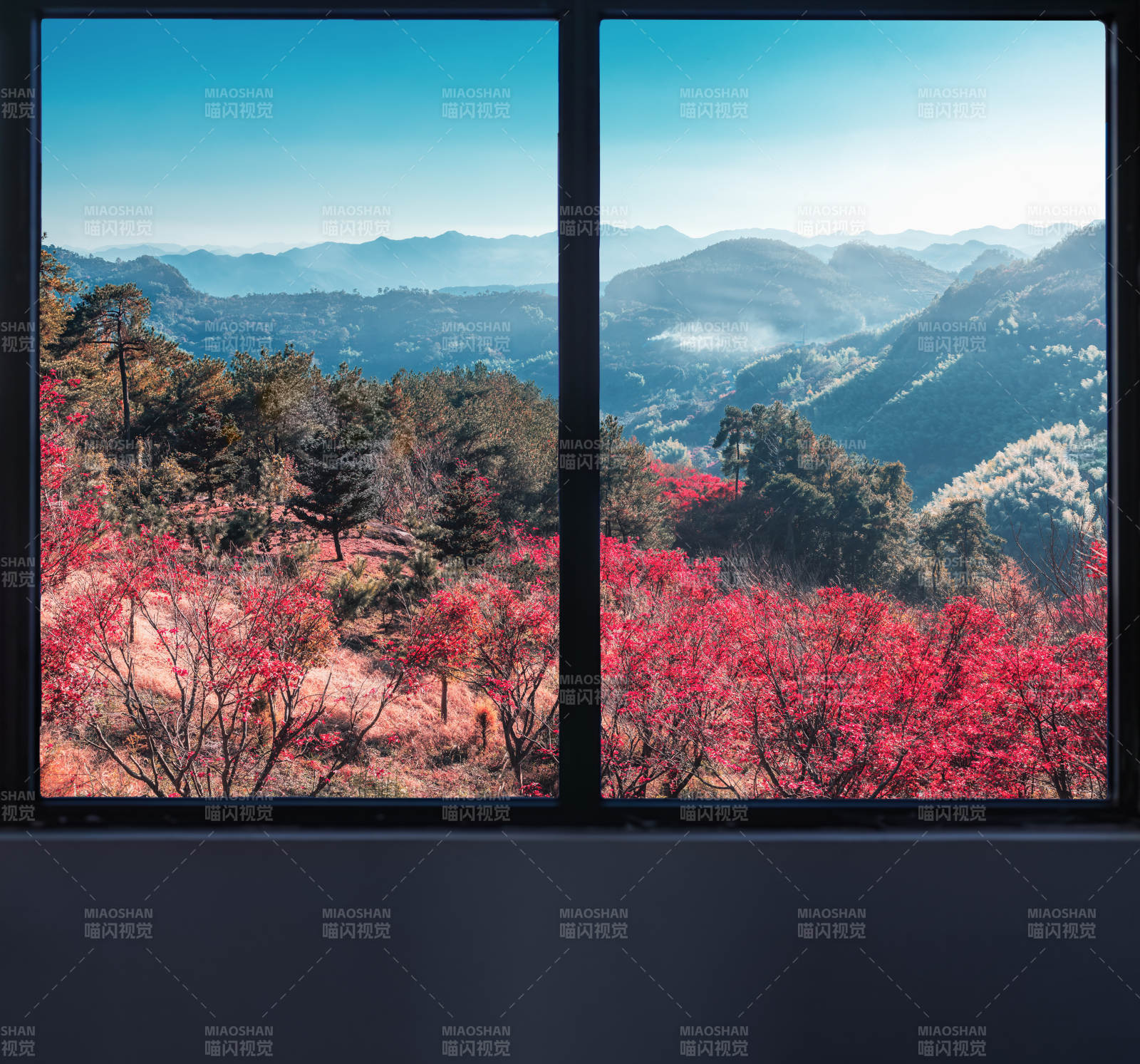 山间红叶映蓝天  四明山图片