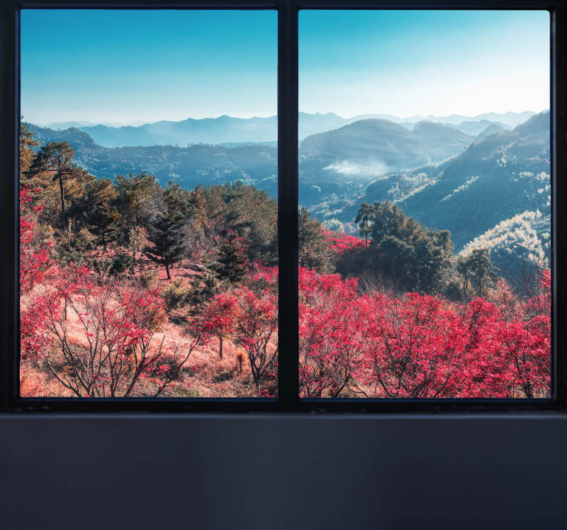 山间红叶映蓝天  四明山图片