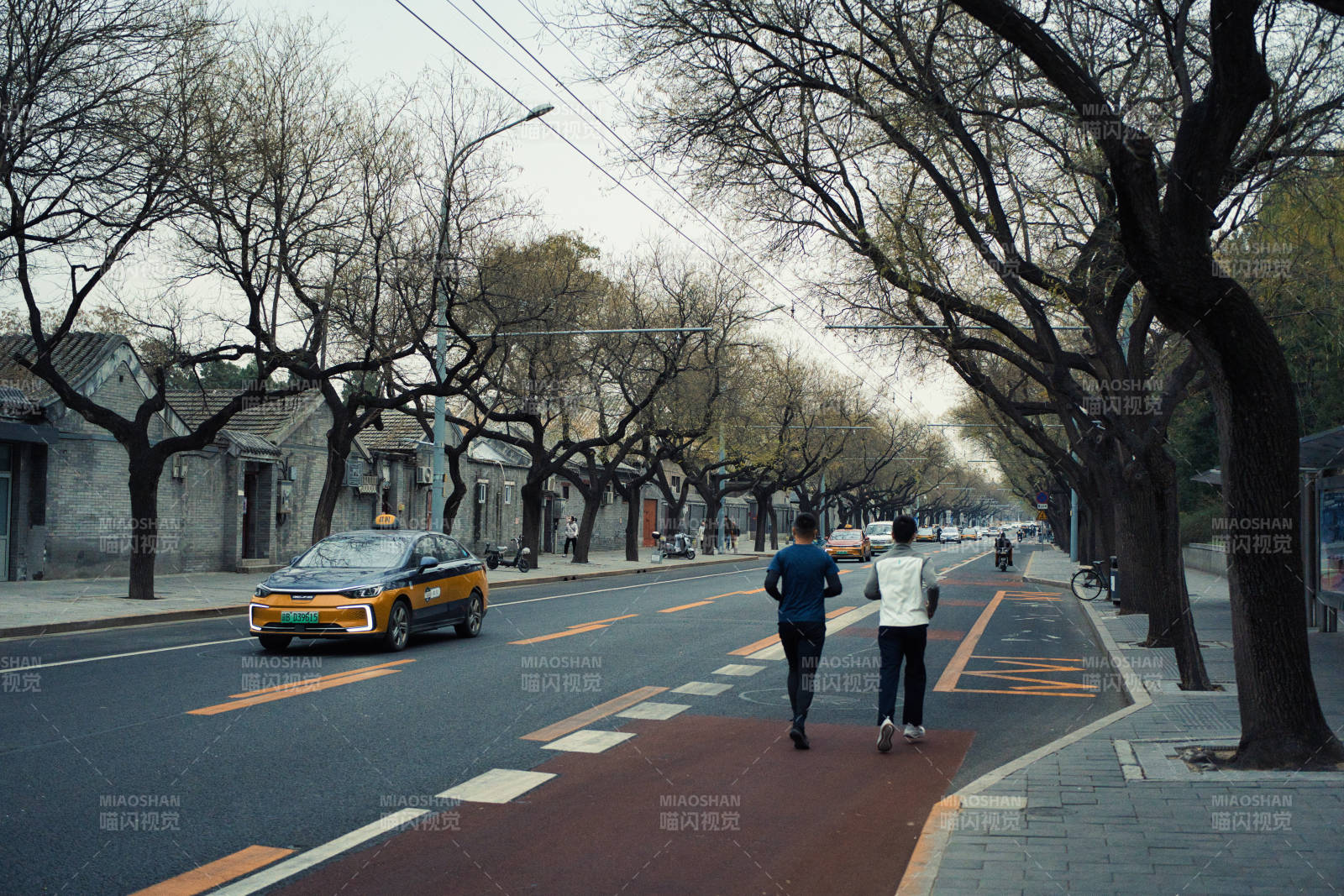 树影下的城市行者图片