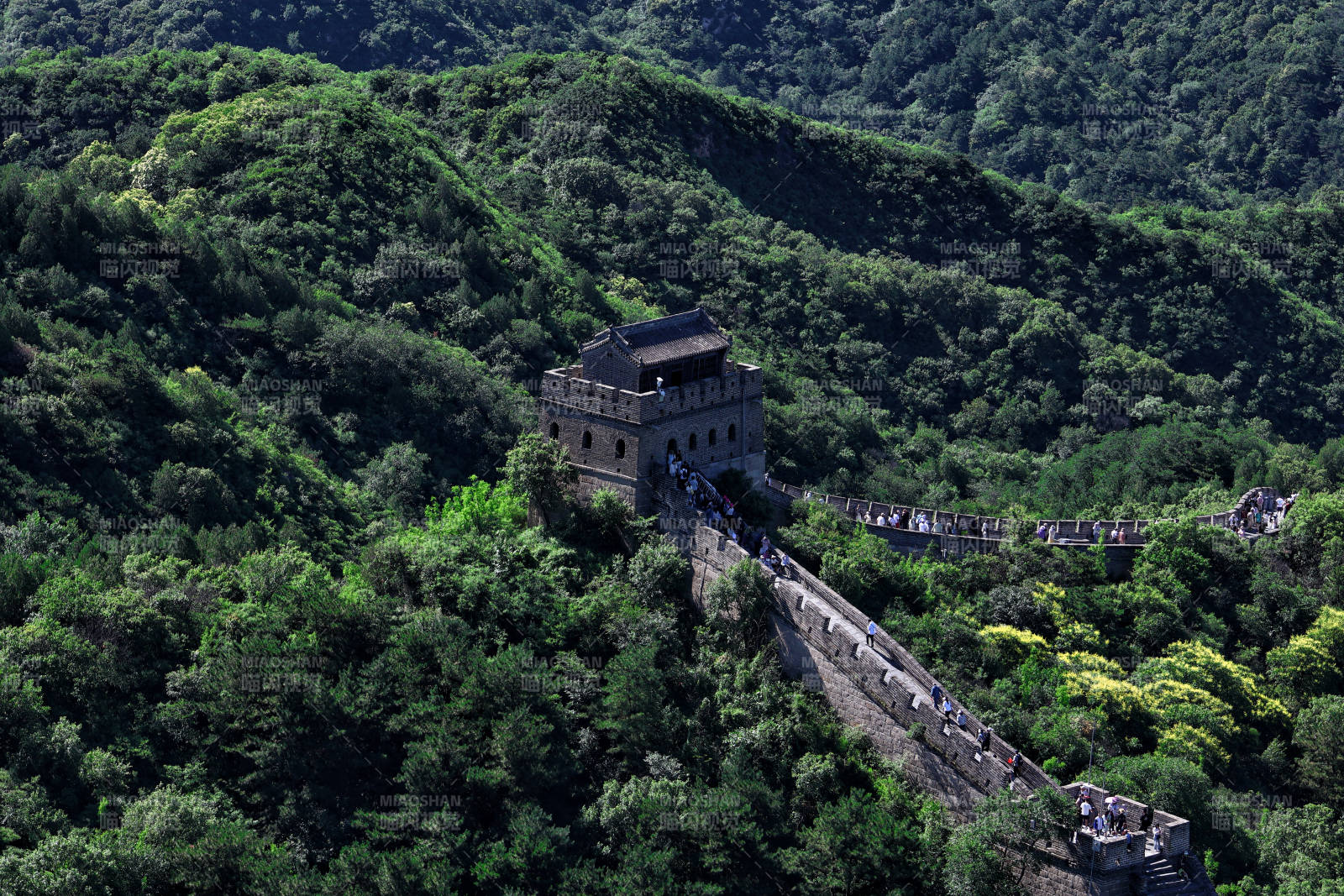长城蜿蜒入山林图片