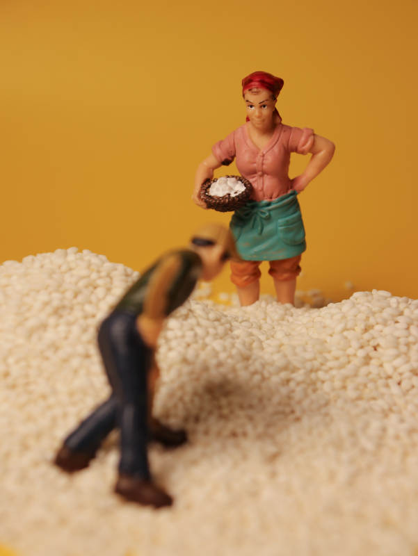 米堆上的小人偶图片