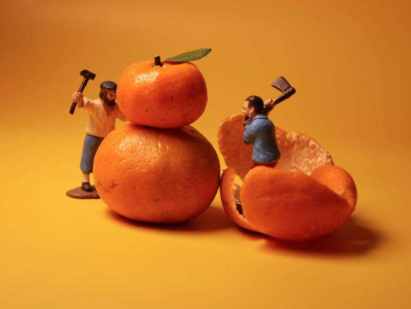 橙中微人劳作图片