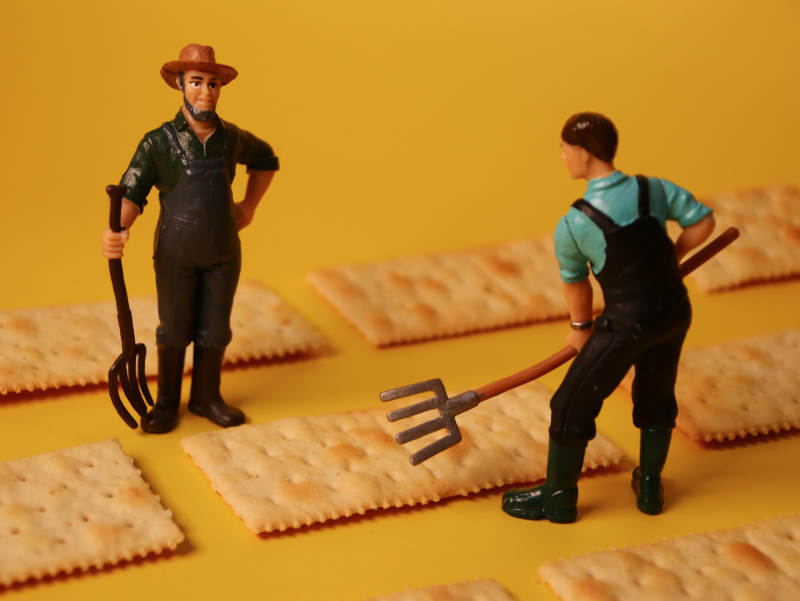 农民在田间劳作图片