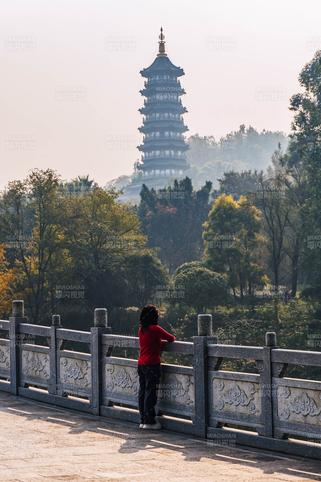 重庆园博园风光图片