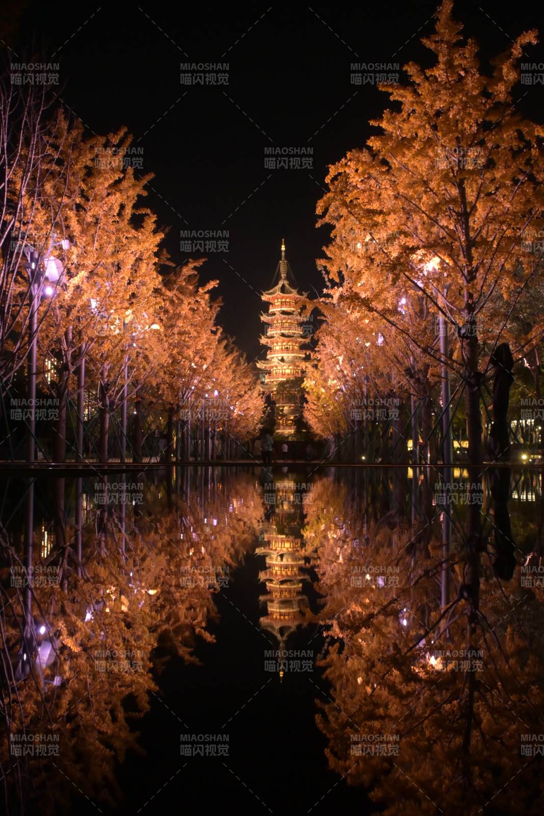 龙华寺夜塔映水秋色美图片