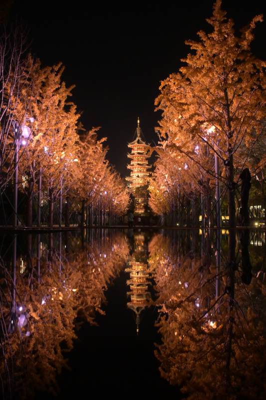 龙华寺夜塔映水秋色美图片