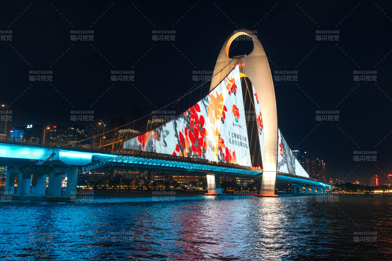 珠江上的广州猎德大桥夜景图片