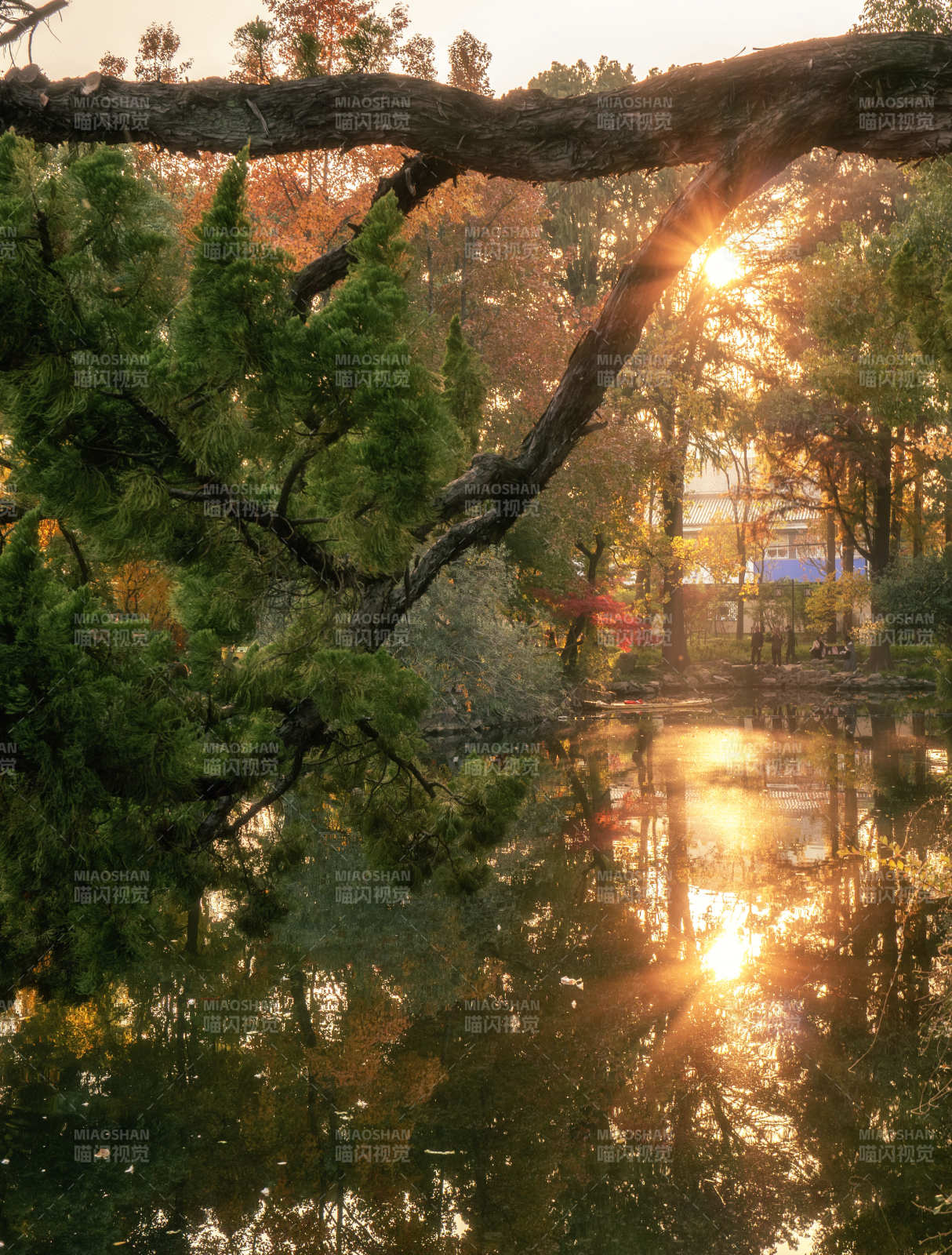 秋日湖畔晨光图片