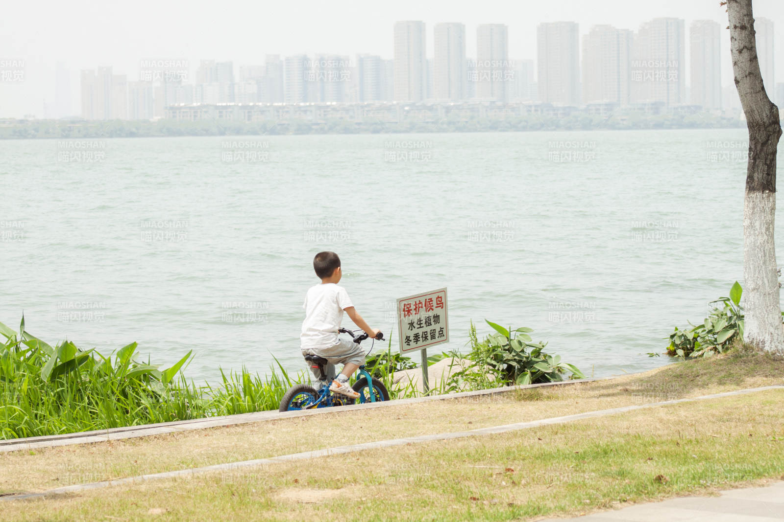 湖畔骑车的小孩图片
