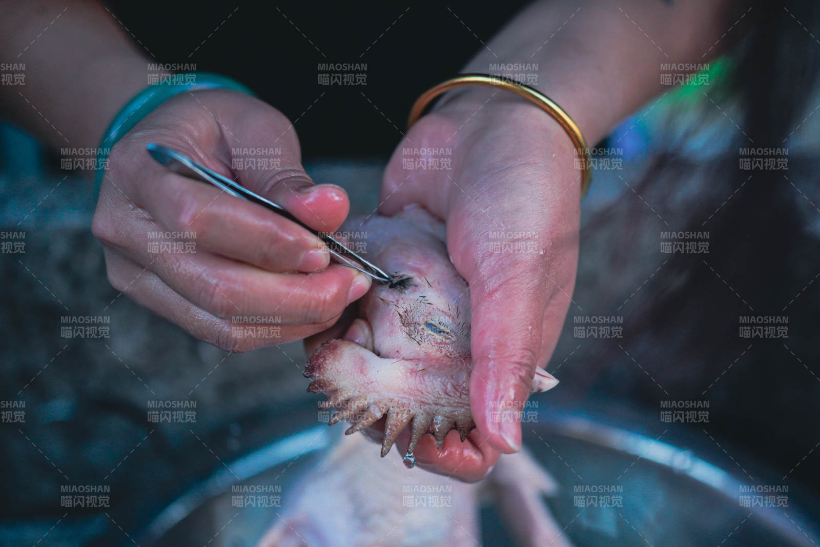 手剥鸡头细节特写图片