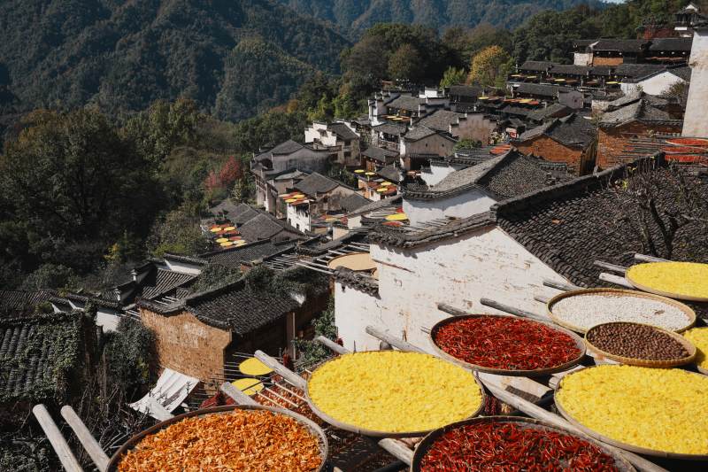 晒秋人家江西婺源图片