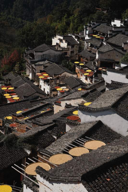 晒秋古村江西婺源图片