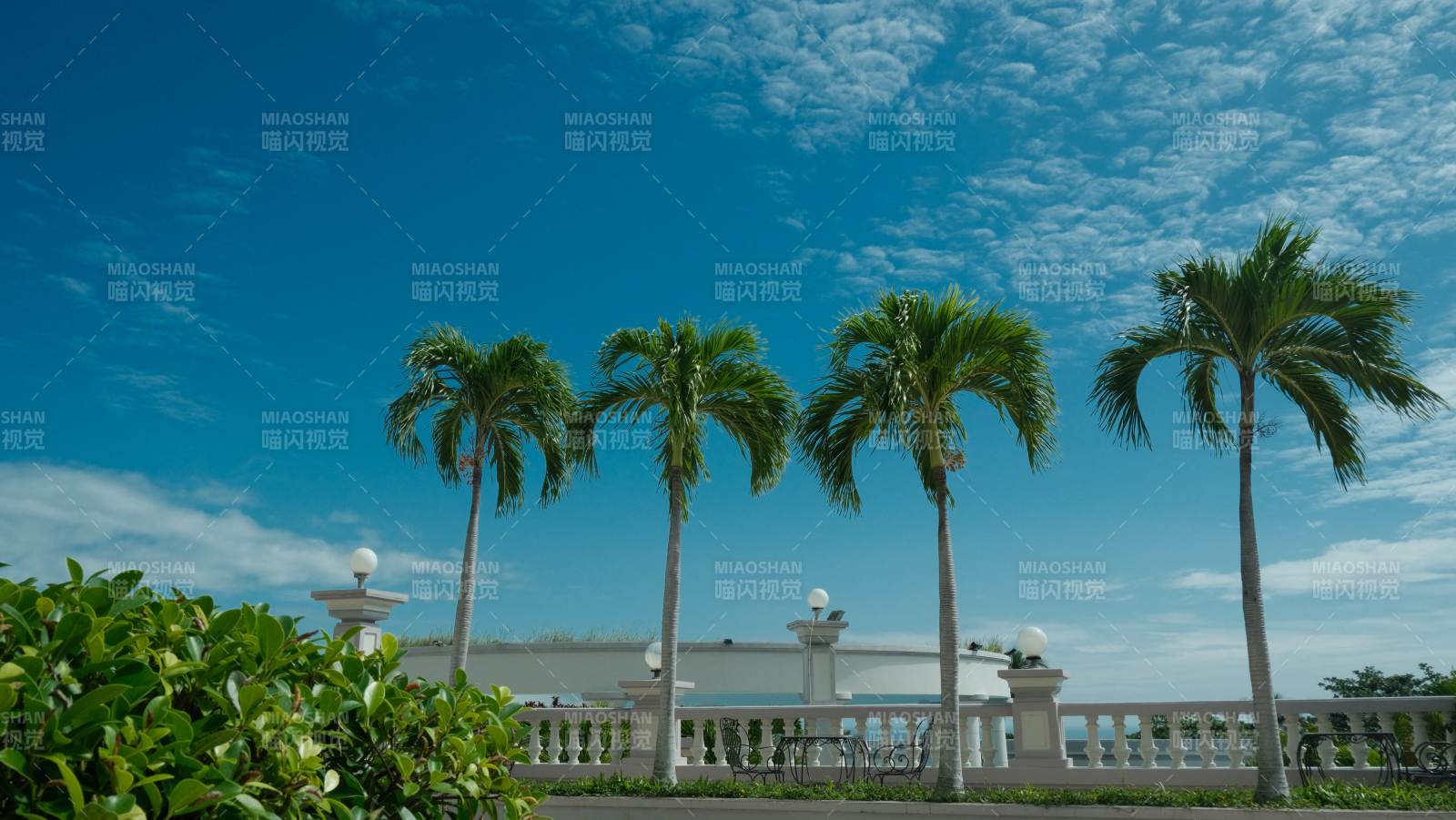 芽庄棕榈树下的白色栏杆图片