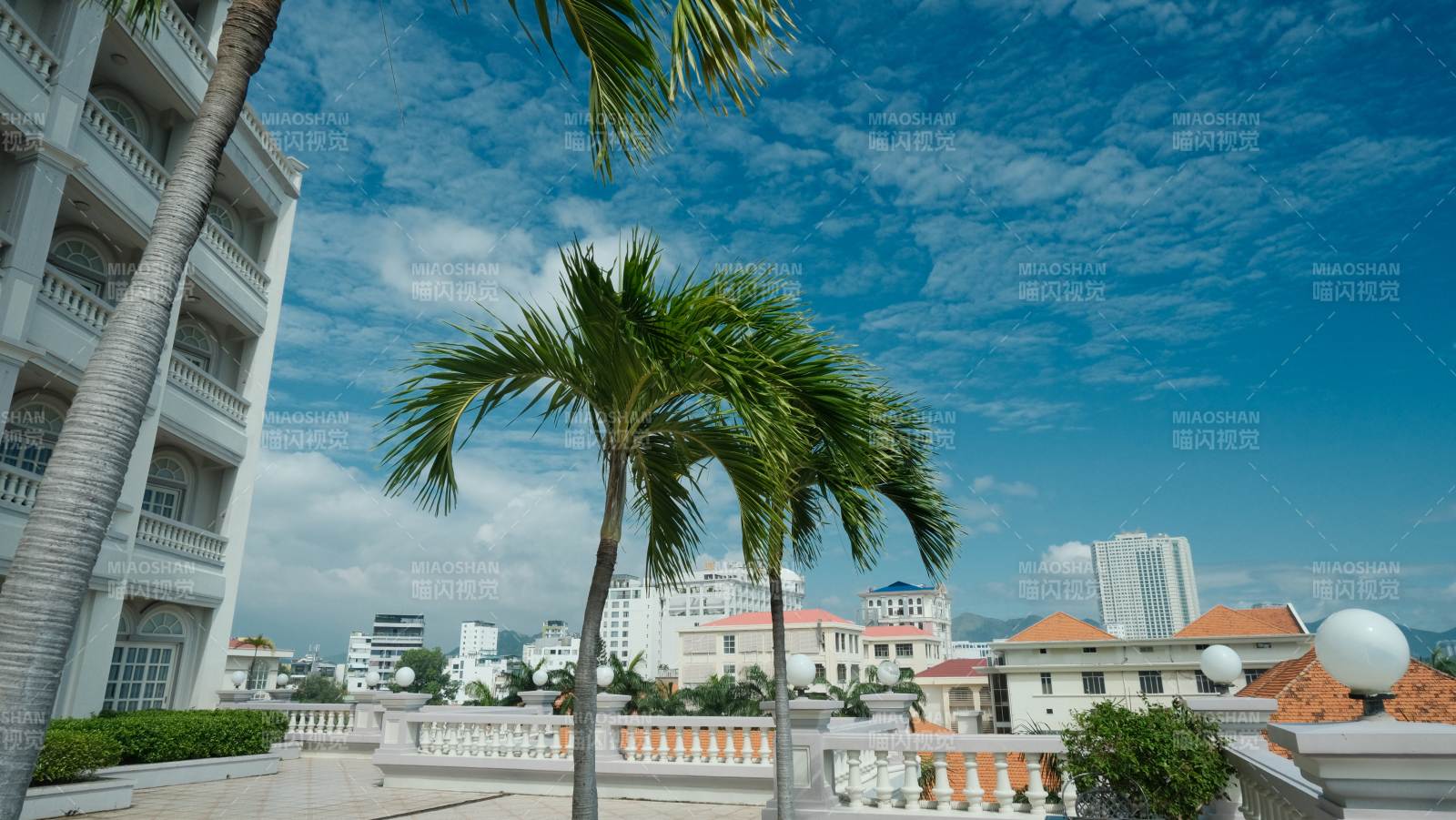 芽庄热带风情建筑群图片