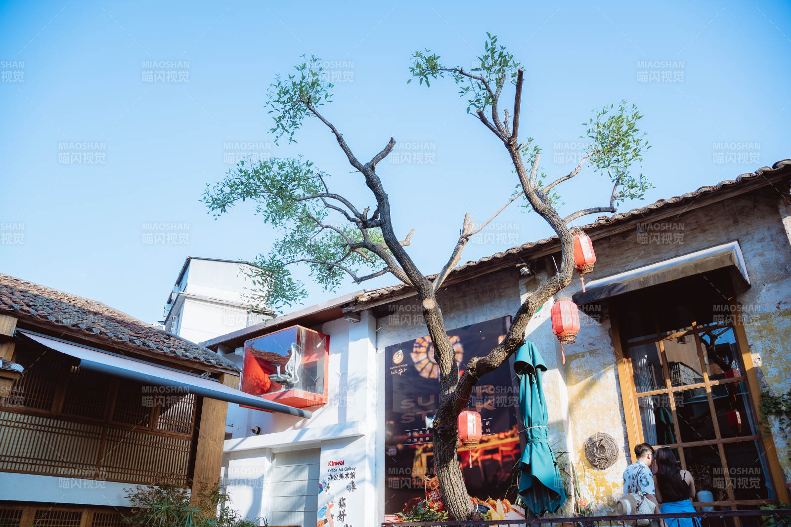 惠州古巷树影映红灯图片